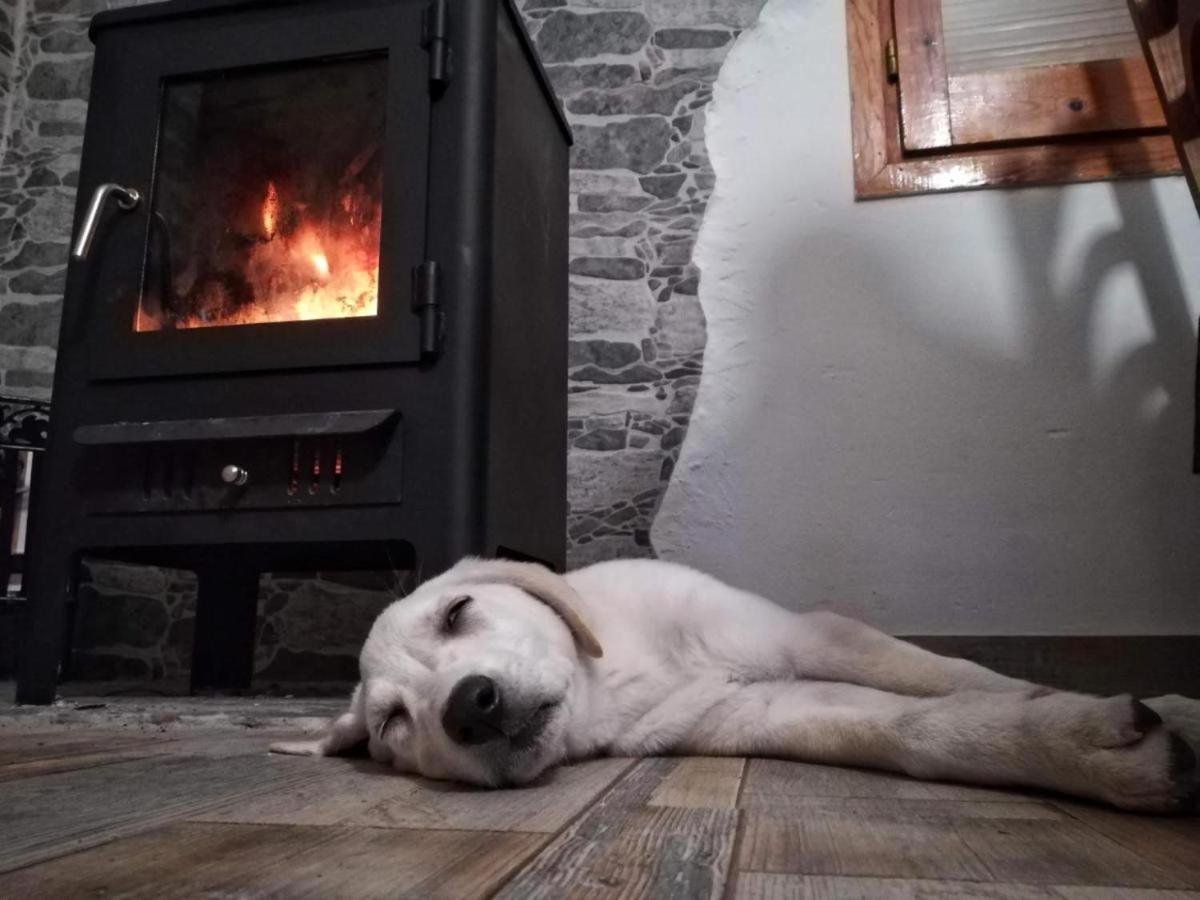 Hauzify I Ca La Nena Morena Villalba Saserra Exterior foto